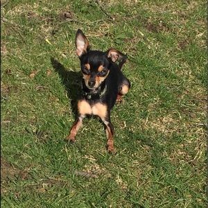 Meet your Posher, Amanda